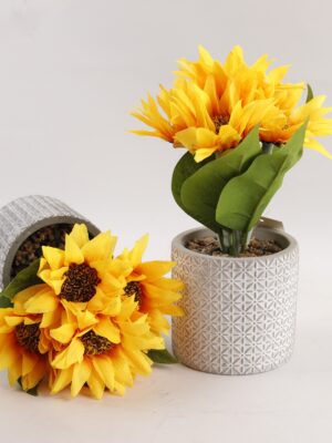 مزهرية دوار الشمس