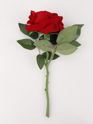 ورد